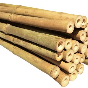 The Eco-Friendly Choice: Bamboo Stakes for Plant Support