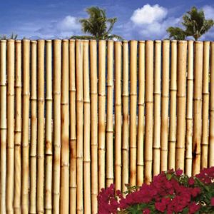Elevate Your Outdoor Space with Captivating Bamboo Fencing