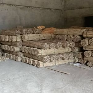 Bamboo poles/bamboo canes