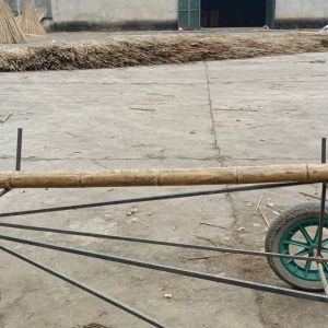 Bamboo poles/bamboo canes