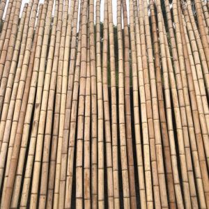 The Journey of Bamboo: From Bamboo Production Process to Diverse Applications
