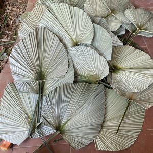 Decoration items