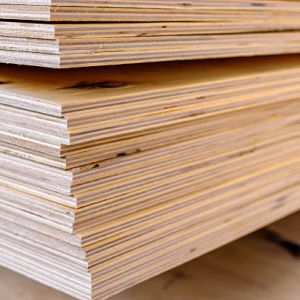 COMMERCIAL PLYWOOD