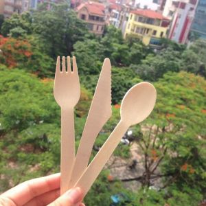 SINGLE-USE WOODEN UTENSILS